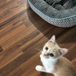 Meet your Posher, Mary